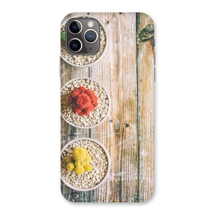 Cacti Decor Back Case for iPhone 11 Pro Max