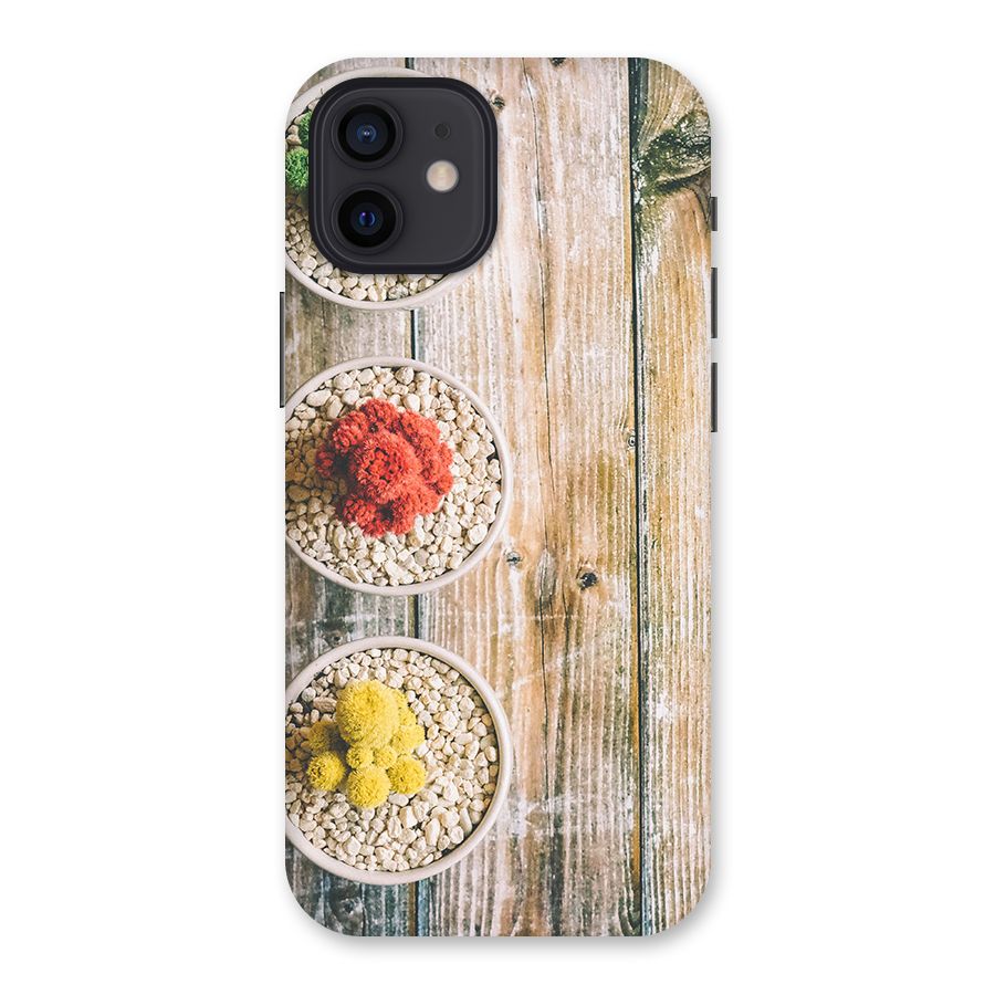 Cacti Decor Back Case for iPhone 12