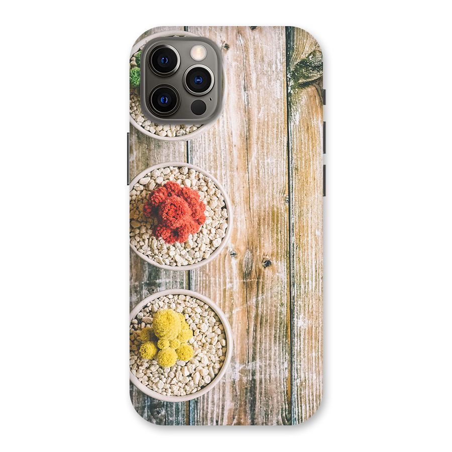 Cacti Decor Back Case for iPhone 12 Pro