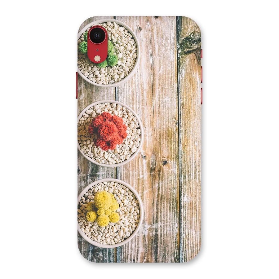 Cacti Decor Back Case for iPhone XR