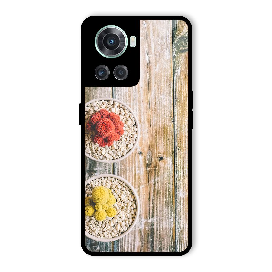 Cacti Decor Glass Back Case for OnePlus 10R