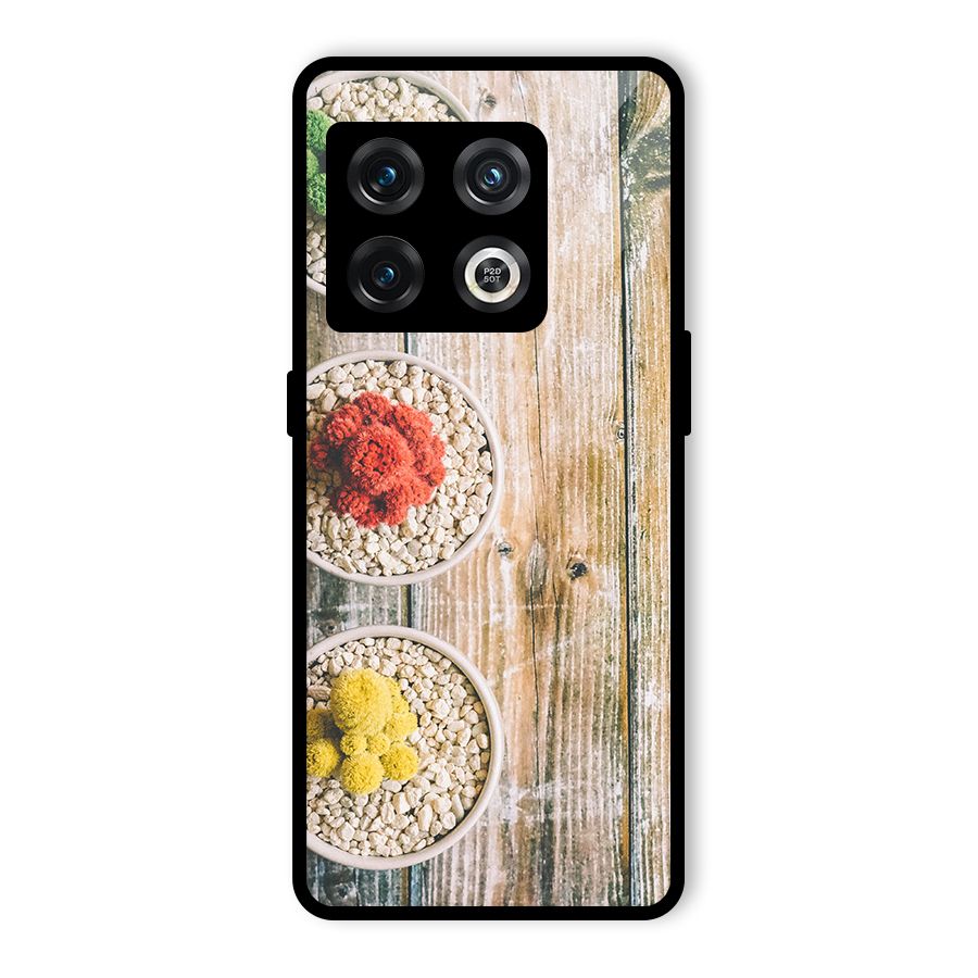 Cacti Decor Glass Back Case for OnePlus 10 Pro 5G