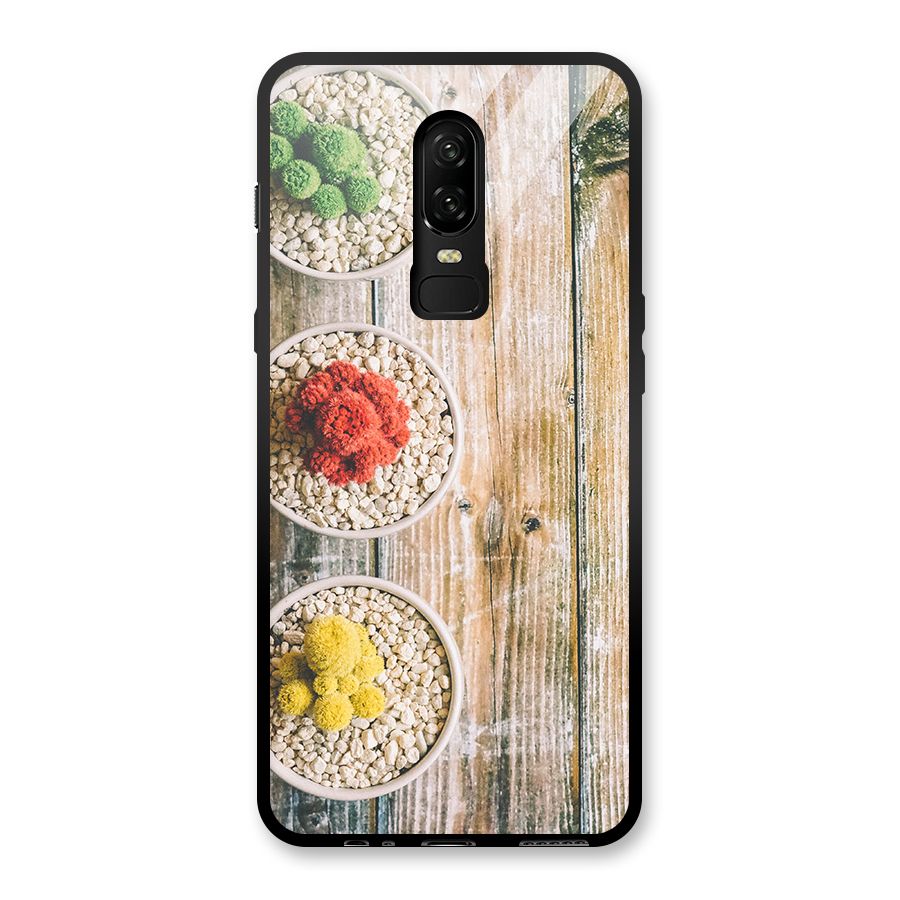 Cacti Decor Glass Back Case for OnePlus 6