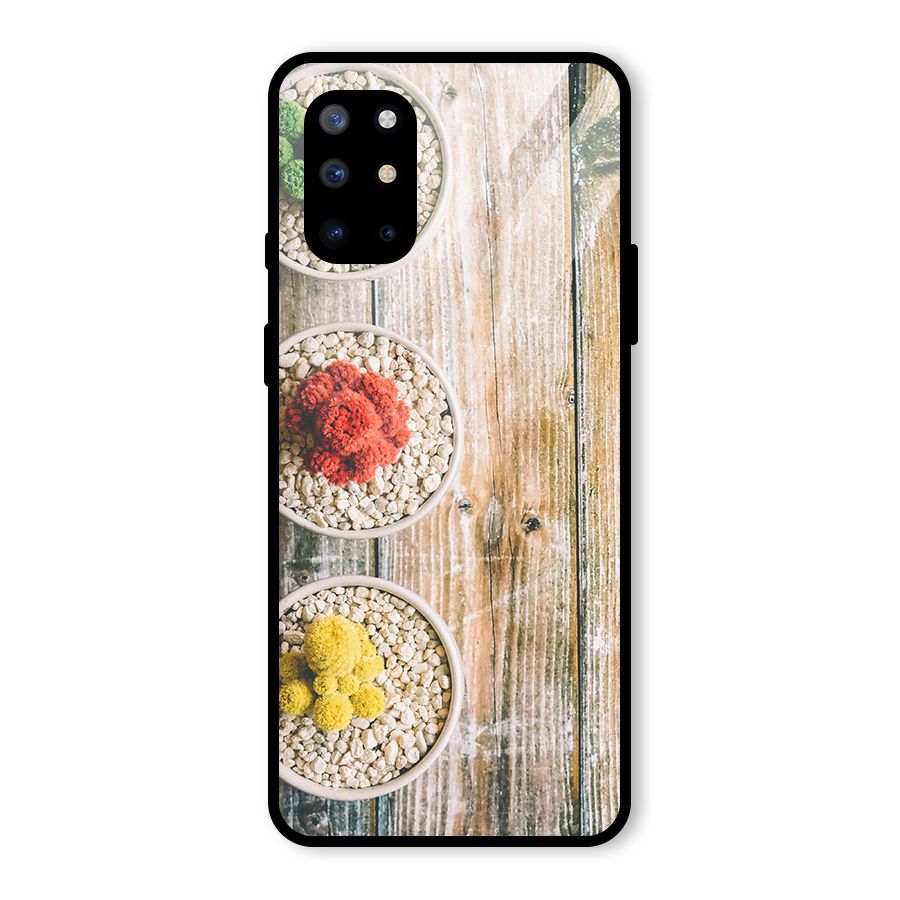 Cacti Decor Glass Back Case for OnePlus 8T