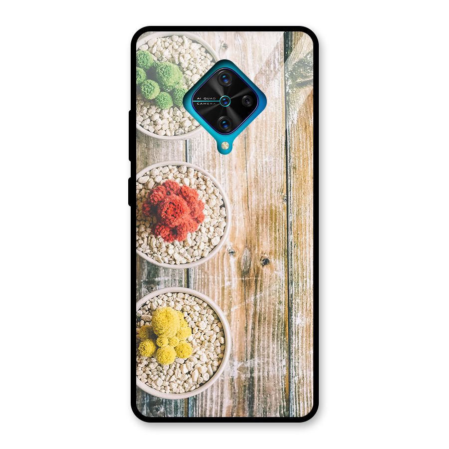 Cacti Decor Glass Back Case for Vivo S1 Pro