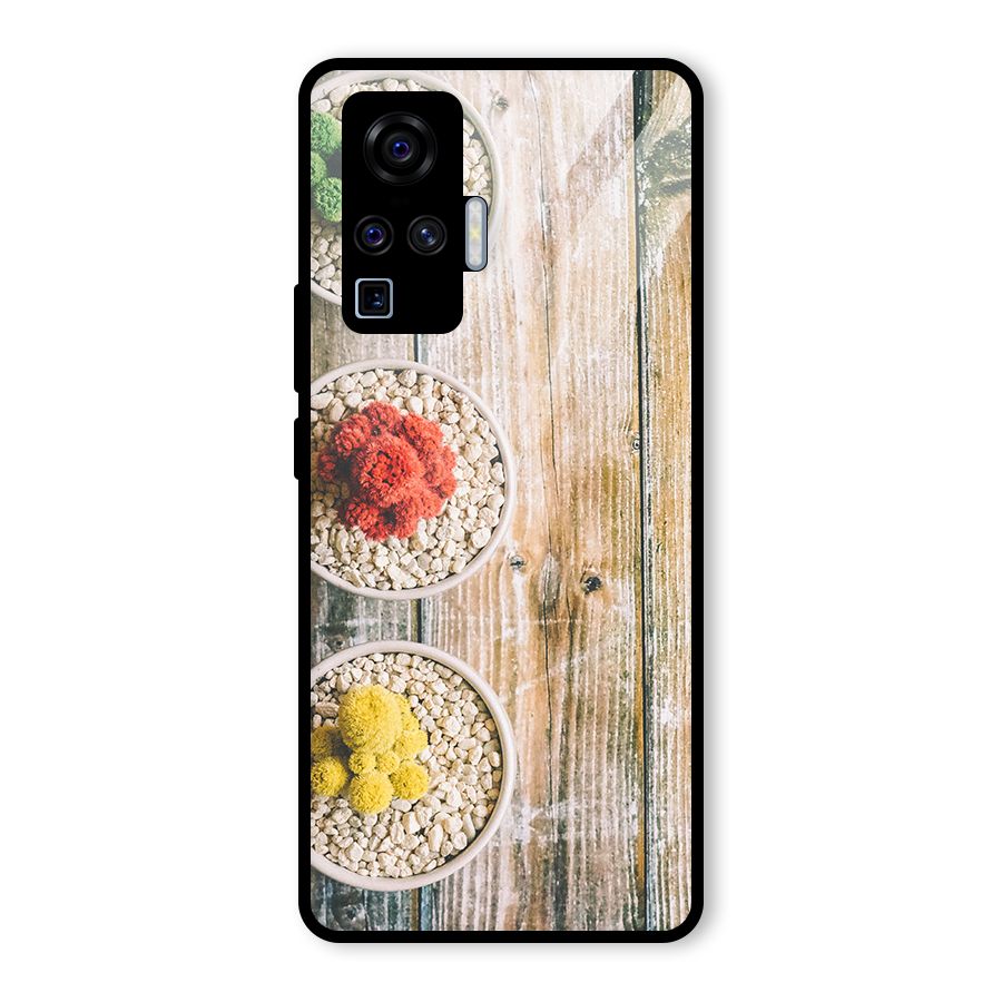 Cacti Decor Glass Back Case for Vivo X50 Pro