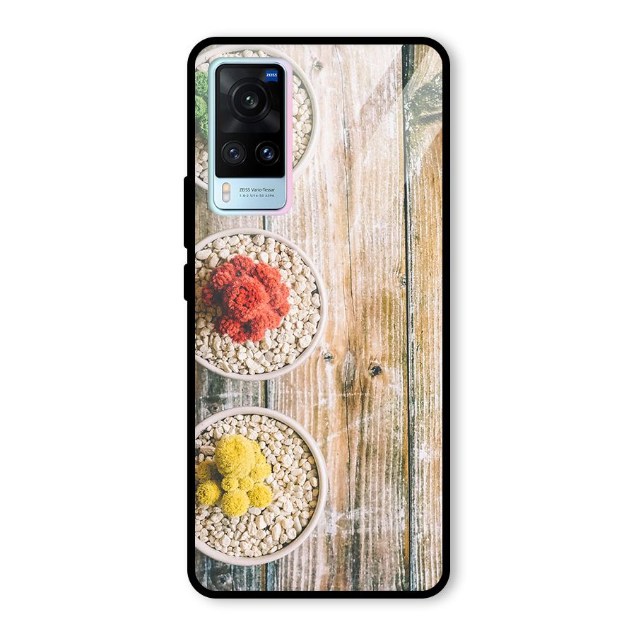 Cacti Decor Glass Back Case for Vivo X60