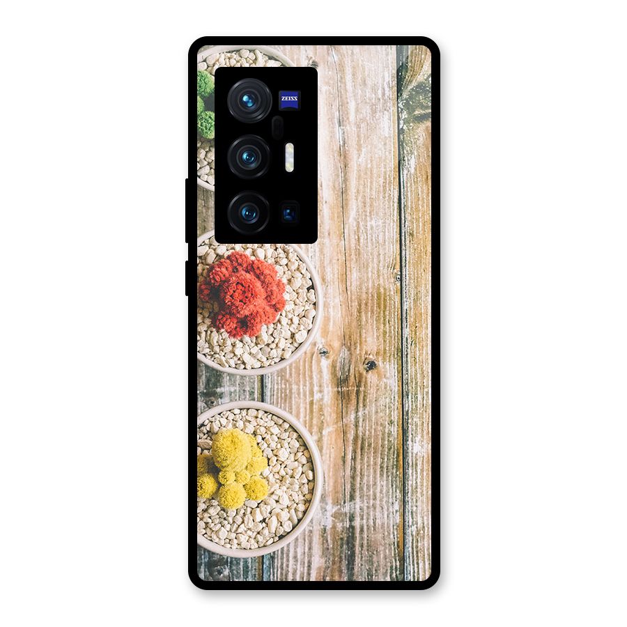 Cacti Decor Glass Back Case for Vivo X70 Pro Plus