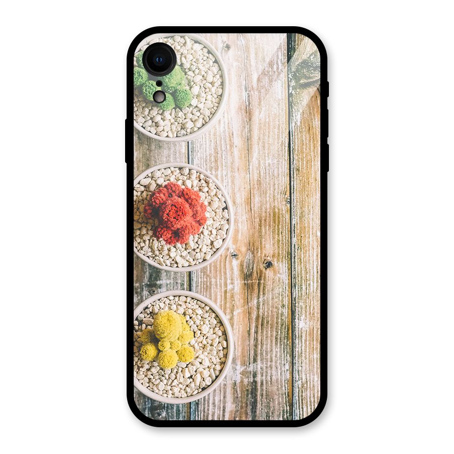 Cacti Decor Glass Back Case for XR