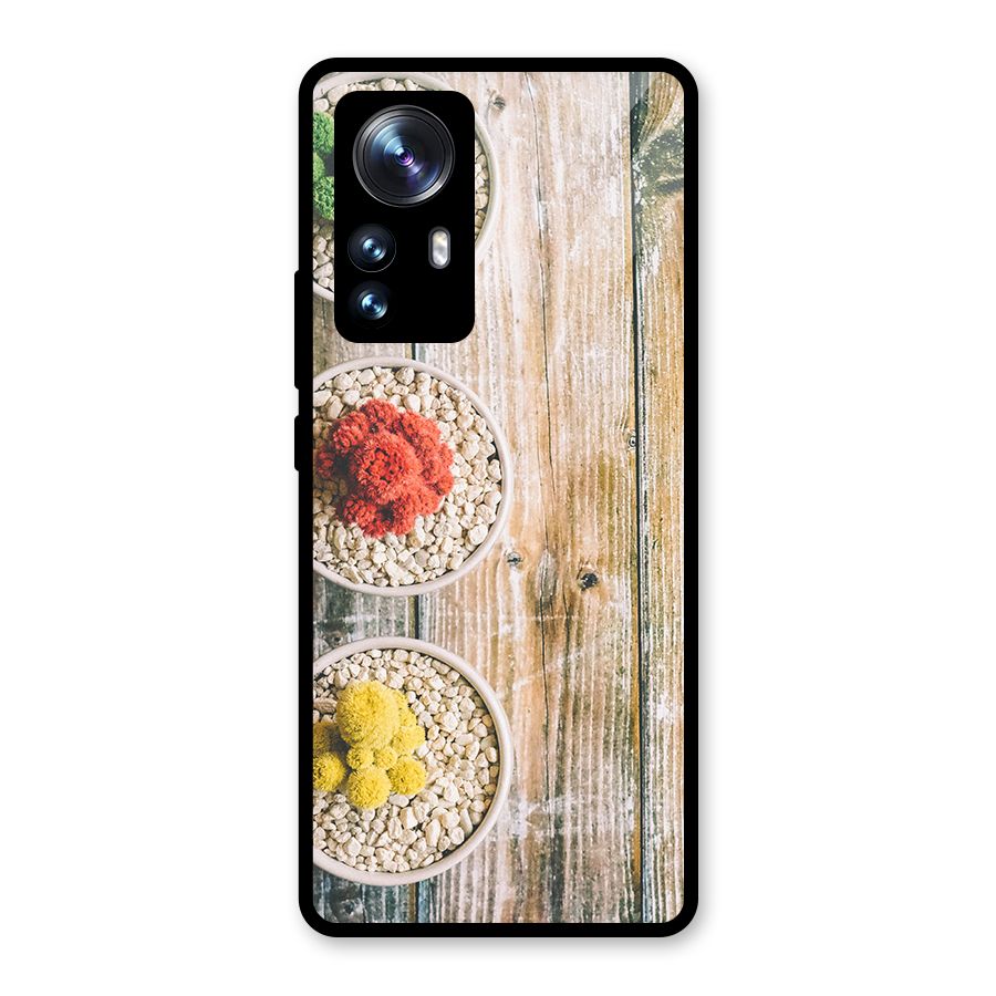 Cacti Decor Glass Back Case for Xiaomi 12 Pro