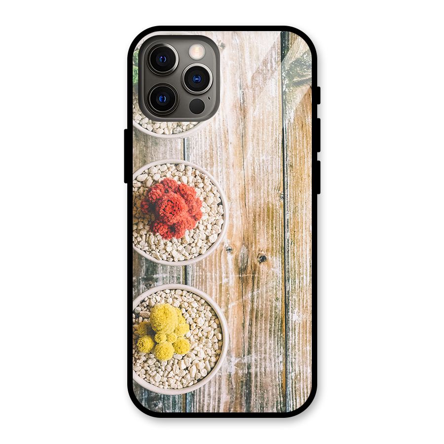 Cacti Decor Glass Back Case for iPhone 12 Pro