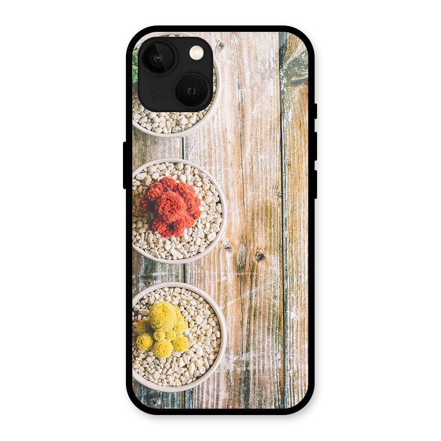 Cacti Decor Glass Back Case for iPhone 13