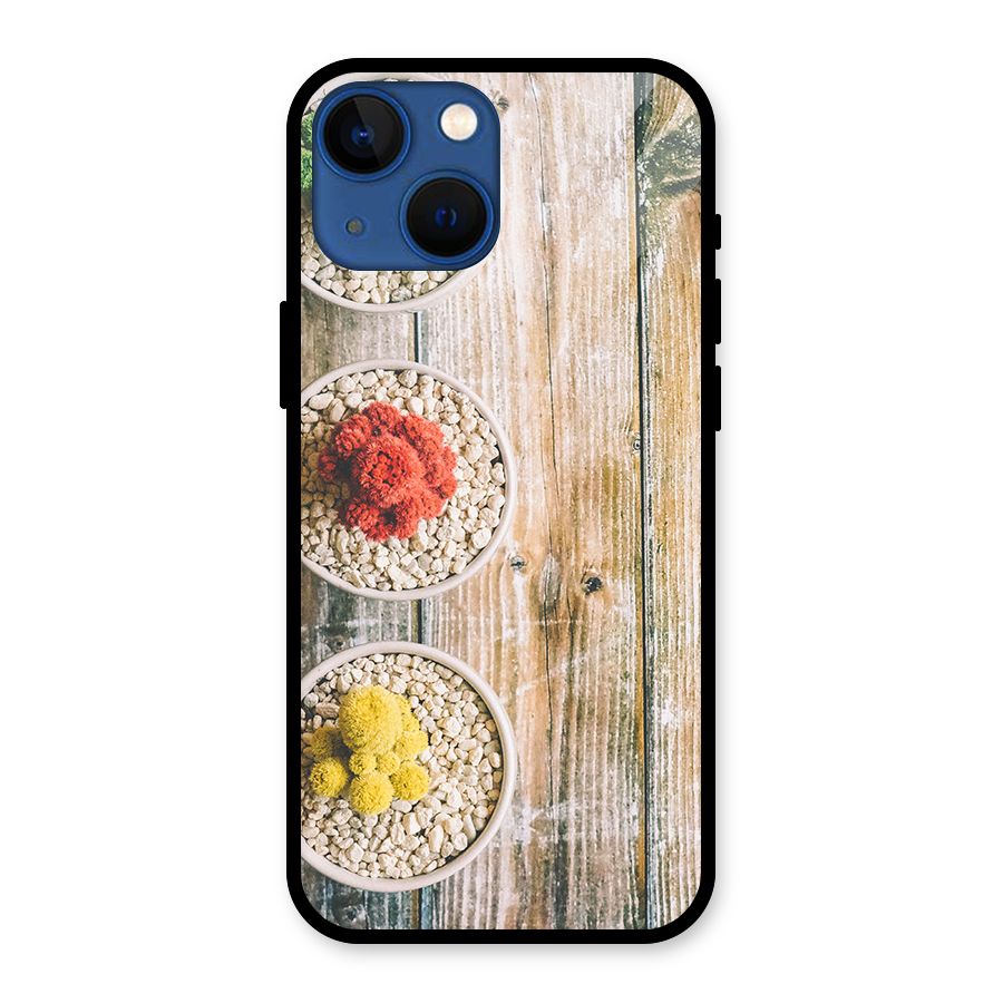 Cacti Decor Glass Back Case for iPhone 13 Mini