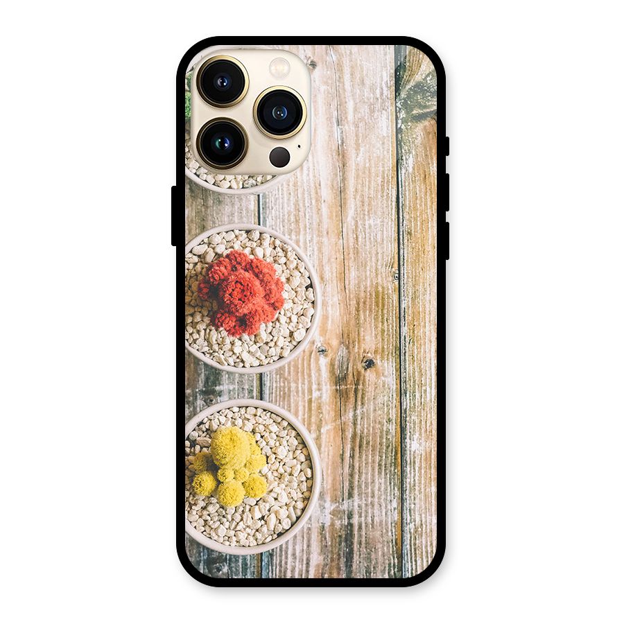 Cacti Decor Glass Back Case for iPhone 13 Pro Max