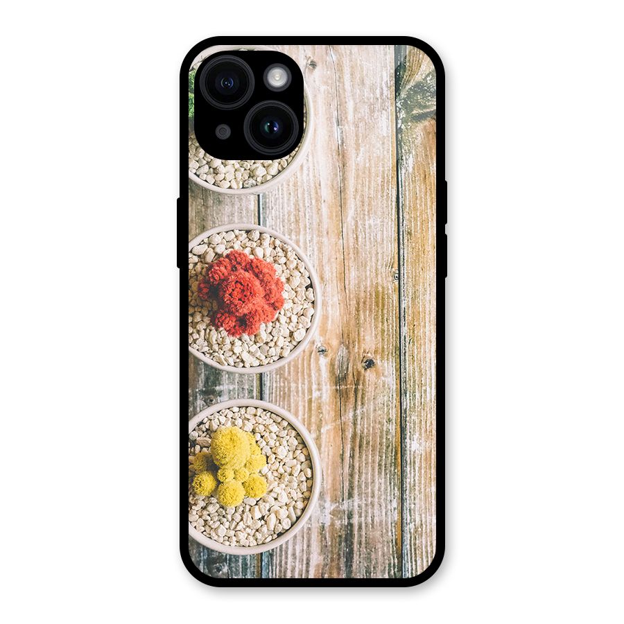Cacti Decor Glass Back Case for iPhone 14