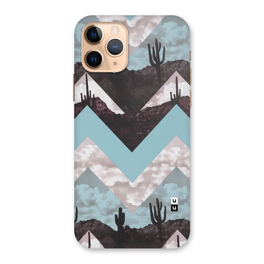 Cacutus Zig Zag Pattern Back Case for iPhone 11 Pro