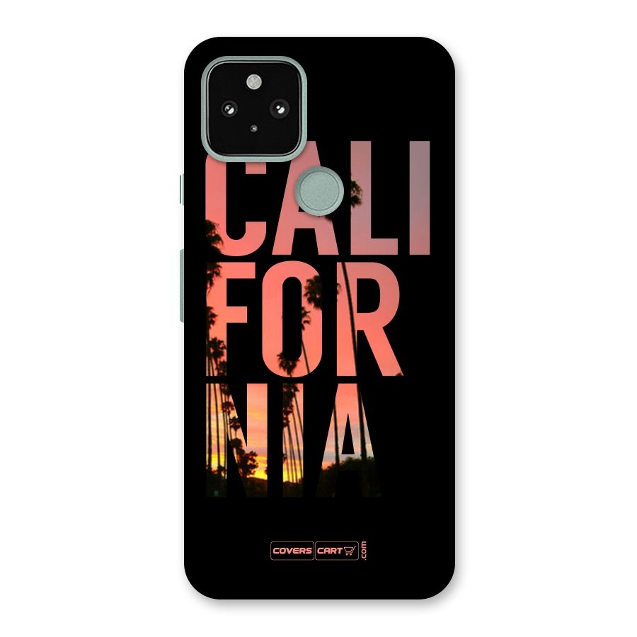 California Back Case for Google Pixel 5