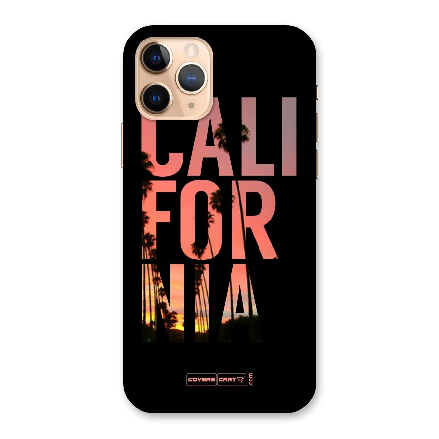 California Back Case for iPhone 11 Pro