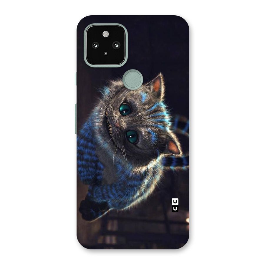 Cat Smile Back Case for Google Pixel 5