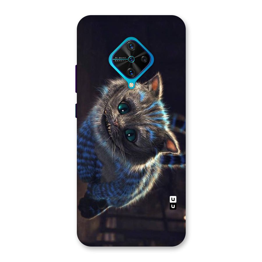 Cat Smile Back Case for Vivo S1 Pro