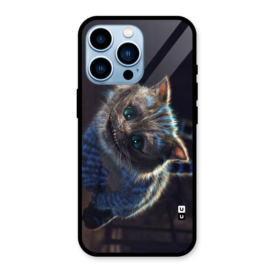 Cat Smile Glass Back Case for iPhone 13 Pro