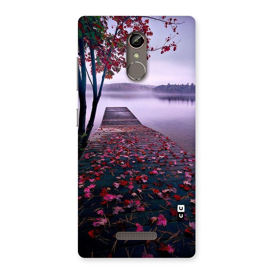 Cherry Blossom Dock Back Case for Gionee S6s