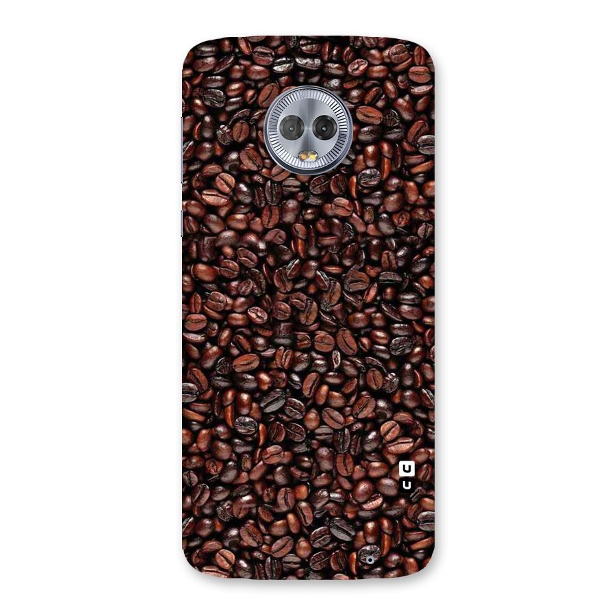 Cocoa Beans Back Case for Moto G6 Plus