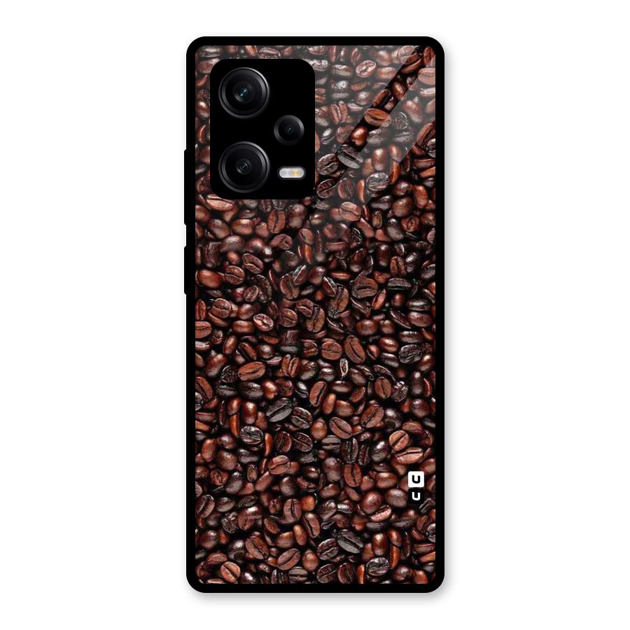 Cocoa Beans Glass Back Case for Redmi Note 12 Pro