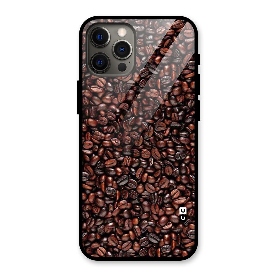 Cocoa Beans Glass Back Case for iPhone 12 Pro Max