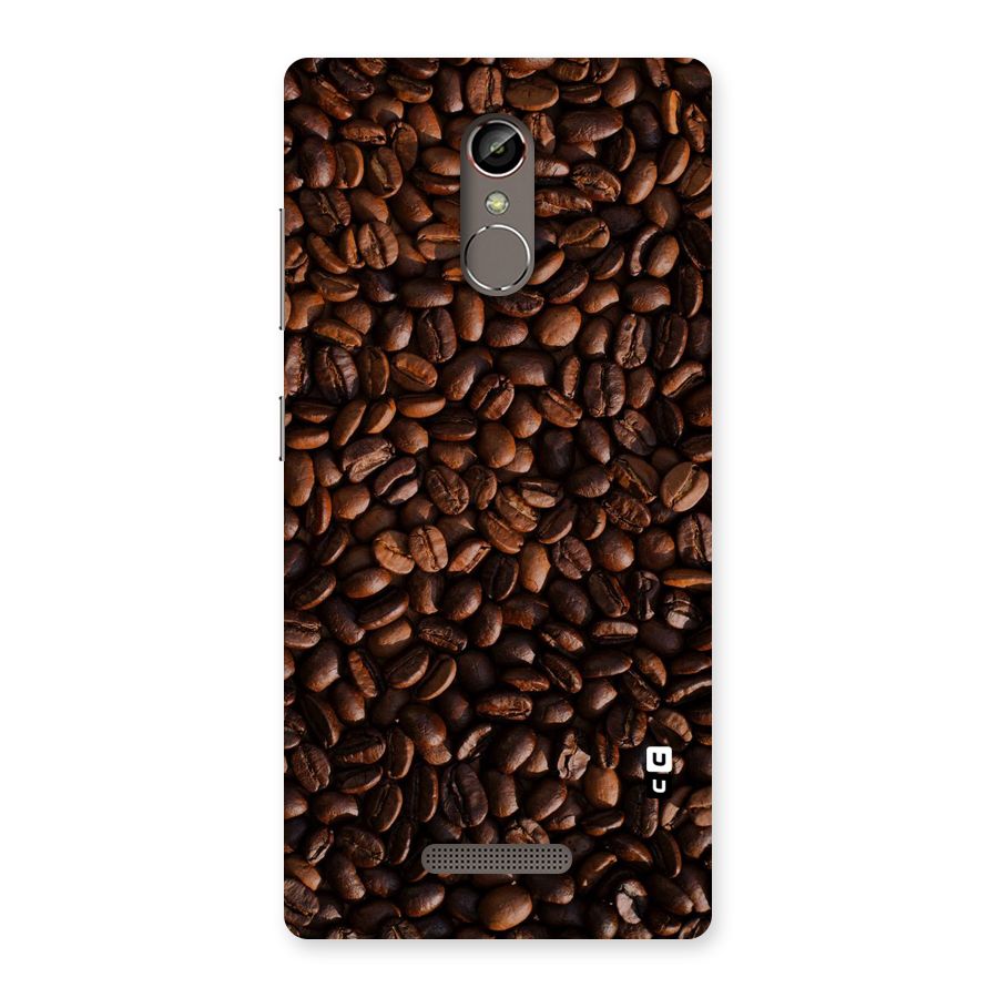 Coffee Beans Scattered Back Case for Gionee S6s