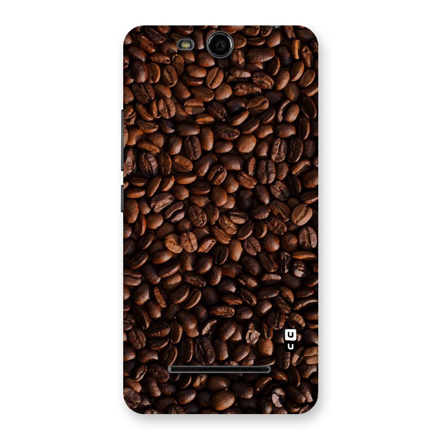 Coffee Beans Scattered Back Case for Micromax Canvas Juice 3 Q392