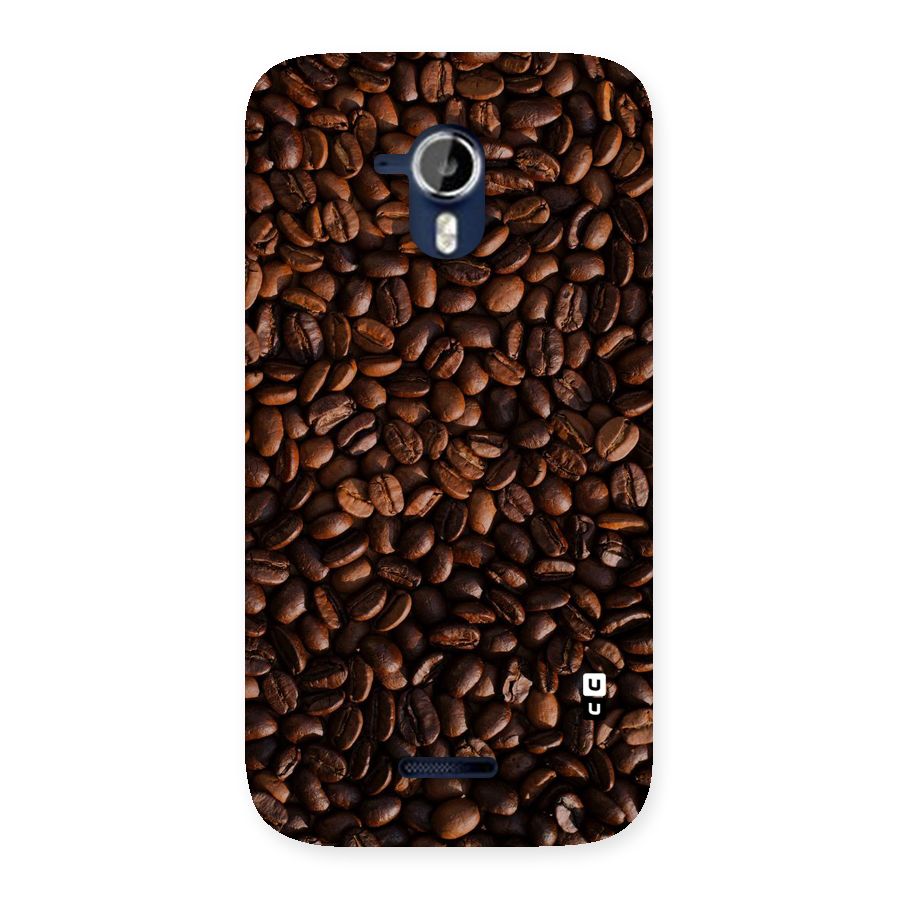 Coffee Beans Scattered Back Case for Micromax Canvas Magnus A117