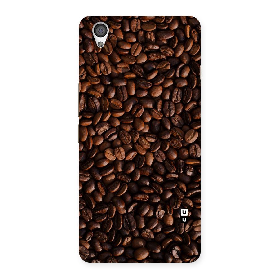 Coffee Beans Scattered Back Case for OnePlus X