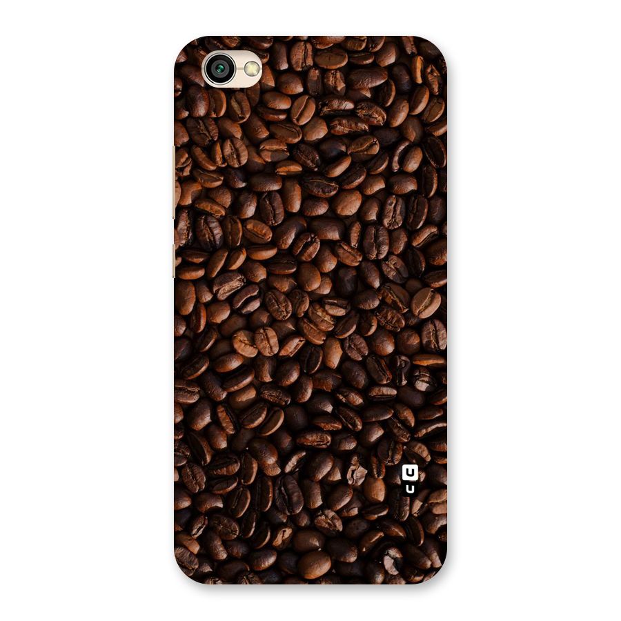 Coffee Beans Scattered Back Case for Redmi Y1 Lite