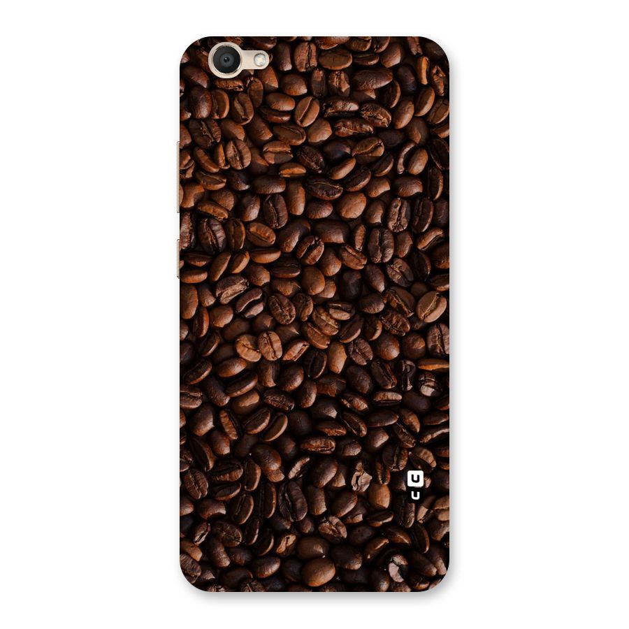 Coffee Beans Scattered Back Case for Vivo V5