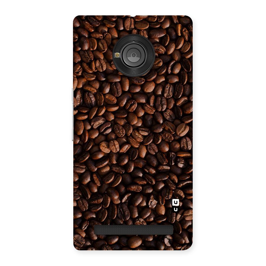 Coffee Beans Scattered Back Case for Yu Yuphoria
