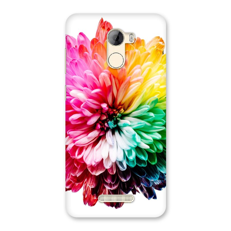 Colorful Flower Back Case for Gionee A1 LIte