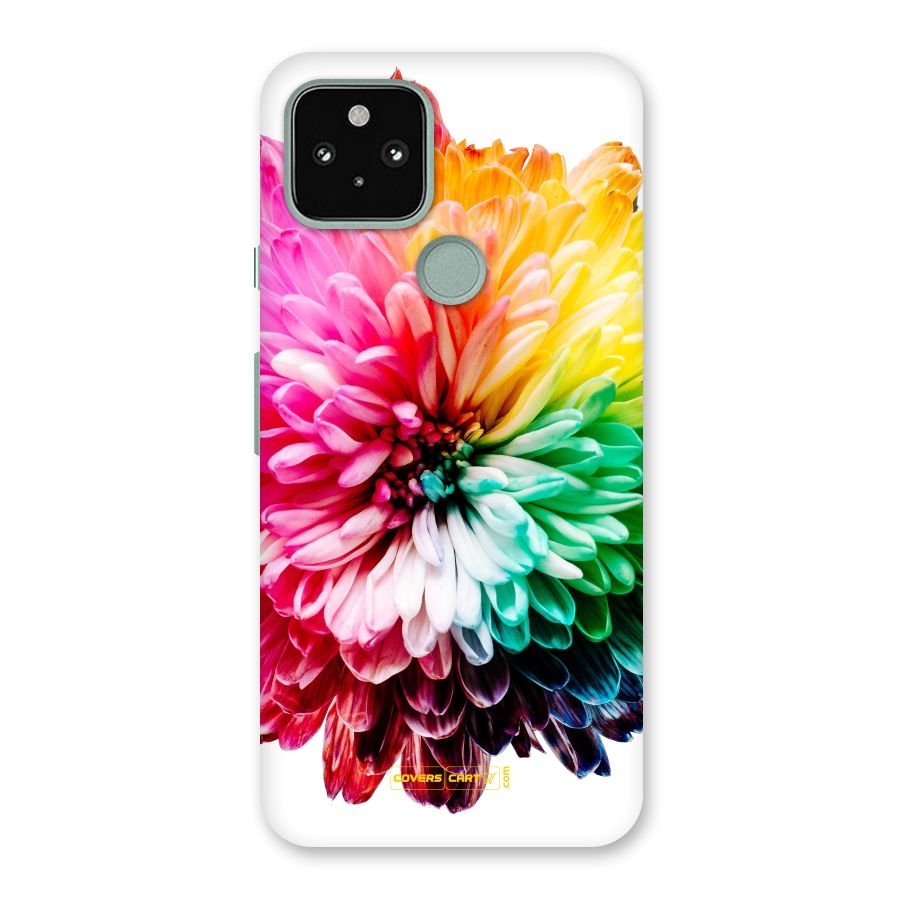 Colorful Flower Back Case for Google Pixel 5