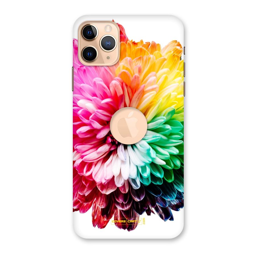 Colorful Flower Back Case for iPhone 11 Pro Max Logo Cut