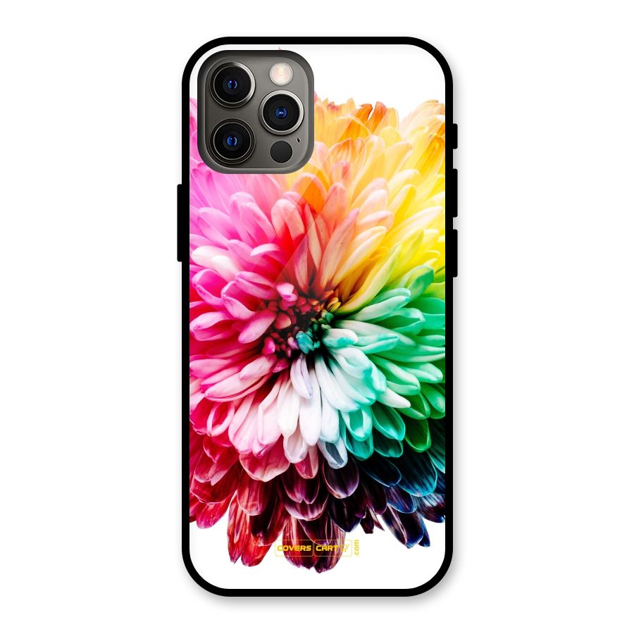 Colorful Flower Glass Back Case for iPhone 12 Pro