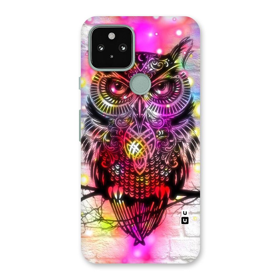 Colourful Owl Back Case for Google Pixel 5