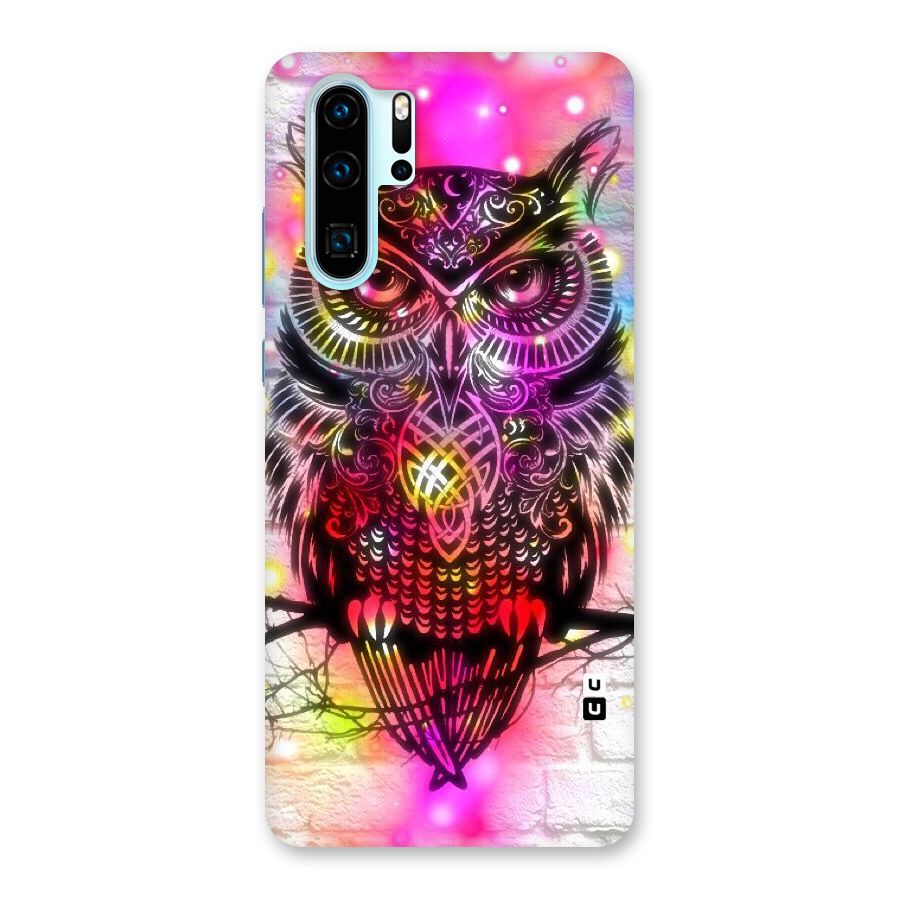 Colourful Owl Back Case for Huawei P30 Pro