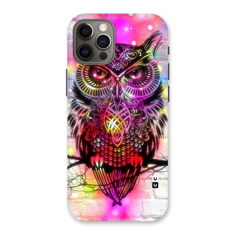 Colourful Owl Back Case for iPhone 12 Pro