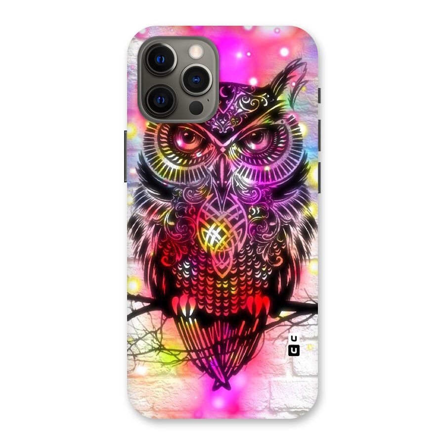 Colourful Owl Back Case for iPhone 12 Pro Max
