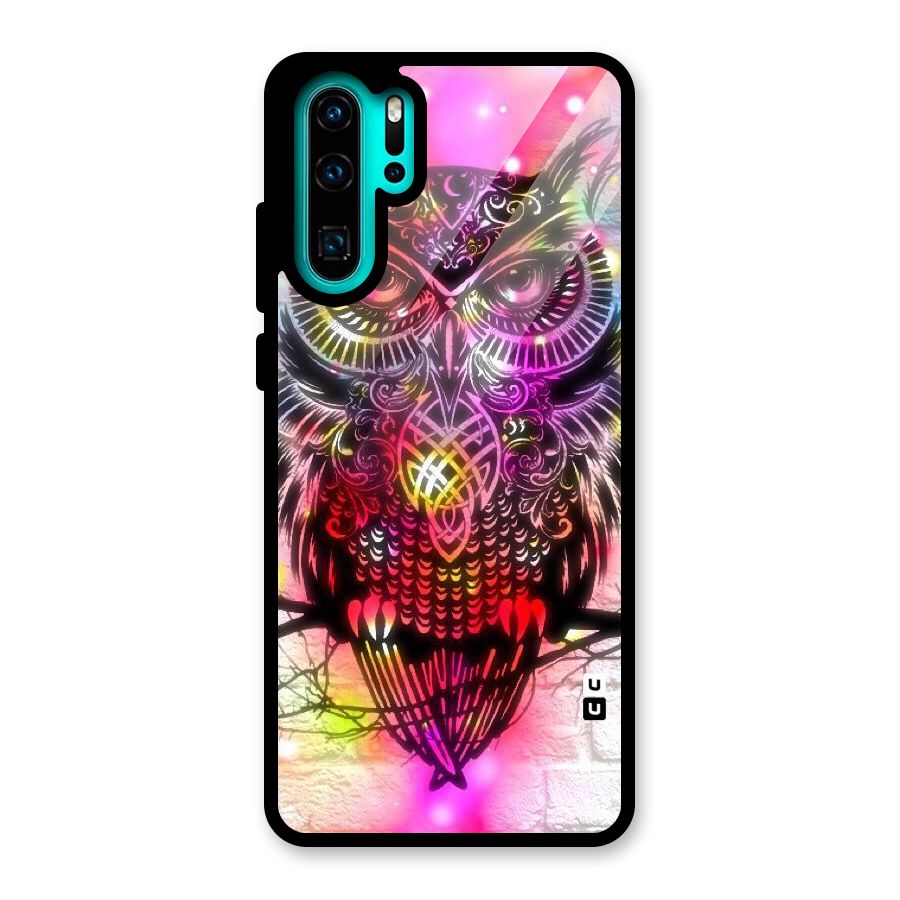 Colourful Owl Glass Back Case for Huawei P30 Pro