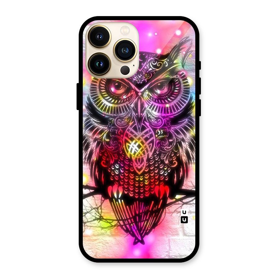 Colourful Owl Glass Back Case for iPhone 13 Pro Max