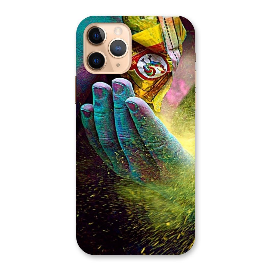 Colours Back Case for iPhone 11 Pro