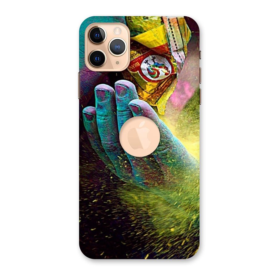 Colours Back Case for iPhone 11 Pro Max Logo Cut