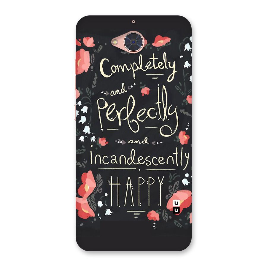Completely Happy Back Case for Gionee S6 Pro