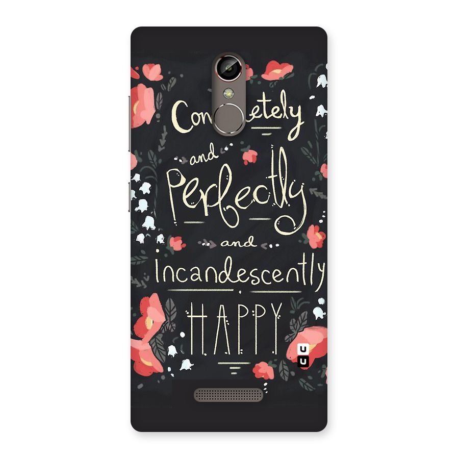 Completely Happy Back Case for Gionee S6s